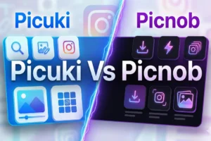 Picuki and Picnob